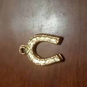 Horse shoe charm
